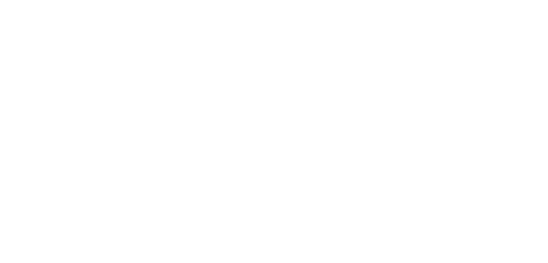 Nepran Technologies Logo